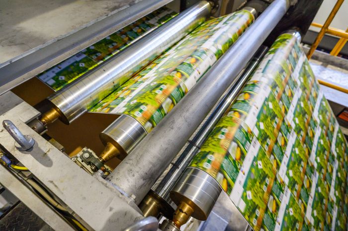 Завод по производству упаковки для пищевых продуктов «МолоПак» в Чехове