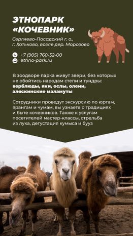 Фермы с животными