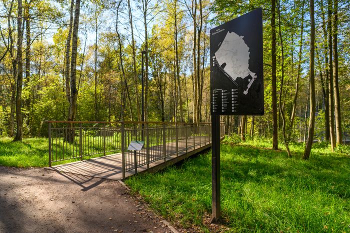 Прогулка по парку Малевича осенью