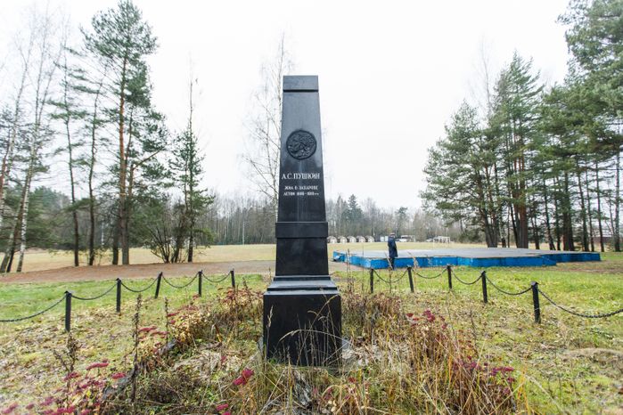 Одинцово. Музей-заповедник А.С. Пушкина, усадьба Захарово. Зима