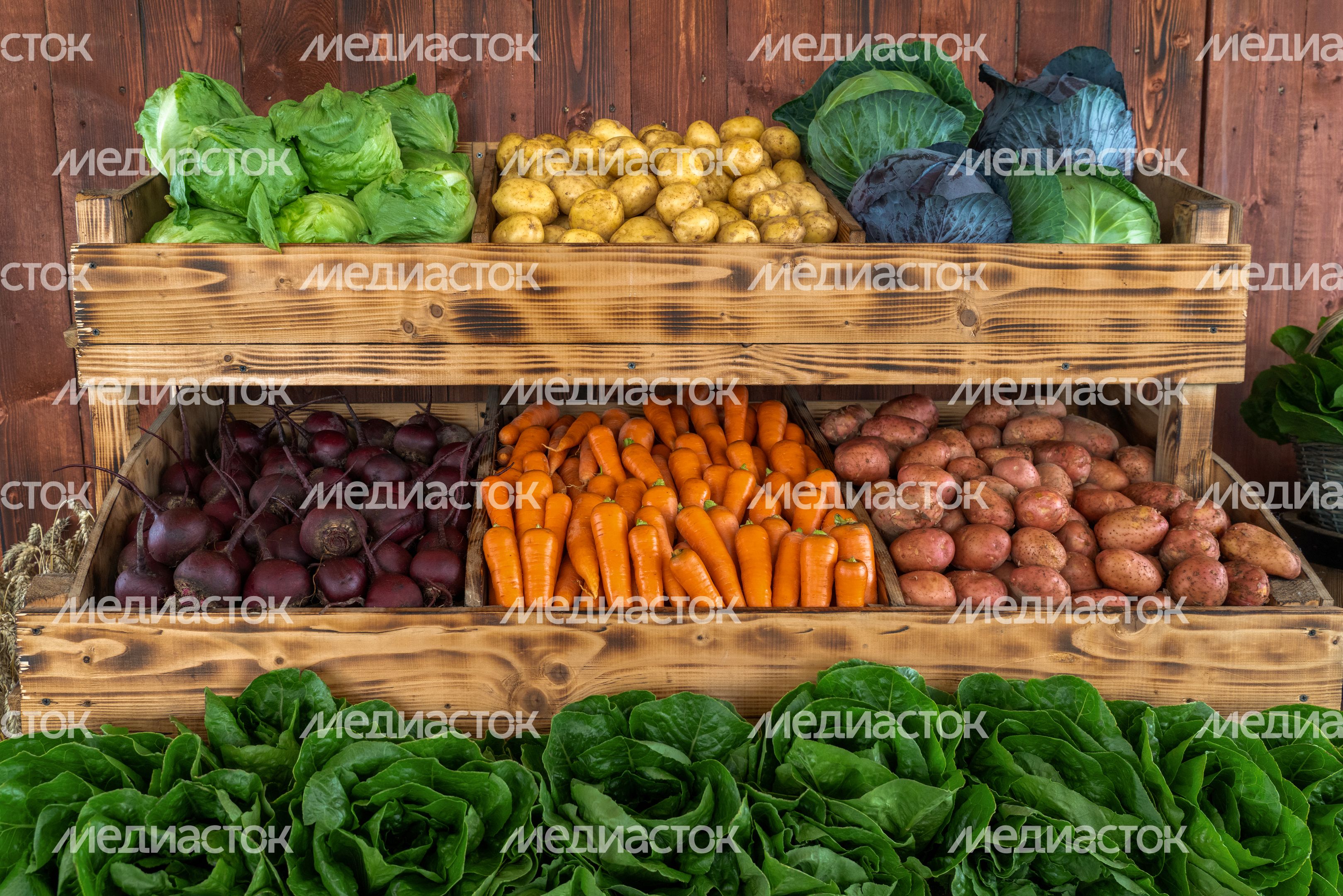 Сельхозпродукция компании «Дмитровские овощи» на прилавке фермерской лавки