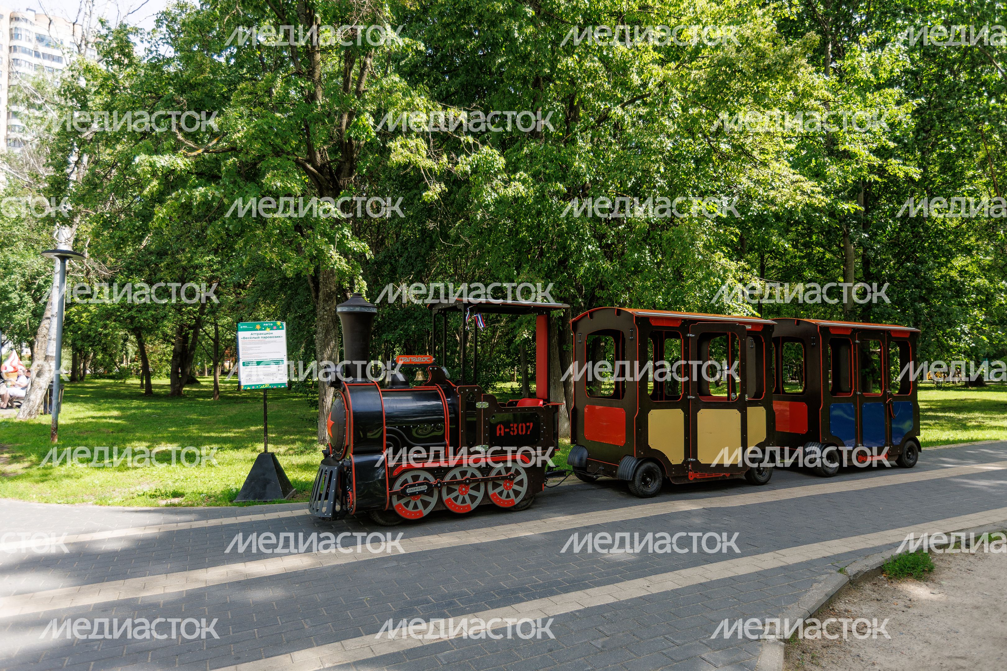Центральный парк Реутова летом Центральный парк Реутова летом