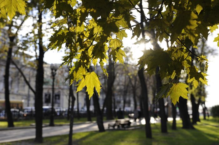Страстной бульвар в Москве