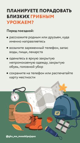 Вертикаль грибы 03.jpg