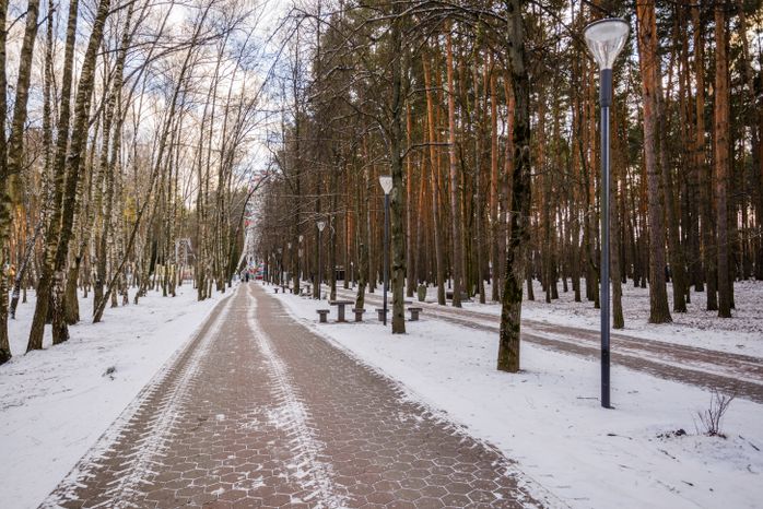 Парк культуры и отдыха «Елочки» в Домодедово