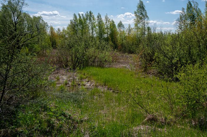 Гжельский Ярус в Раменском городском округе