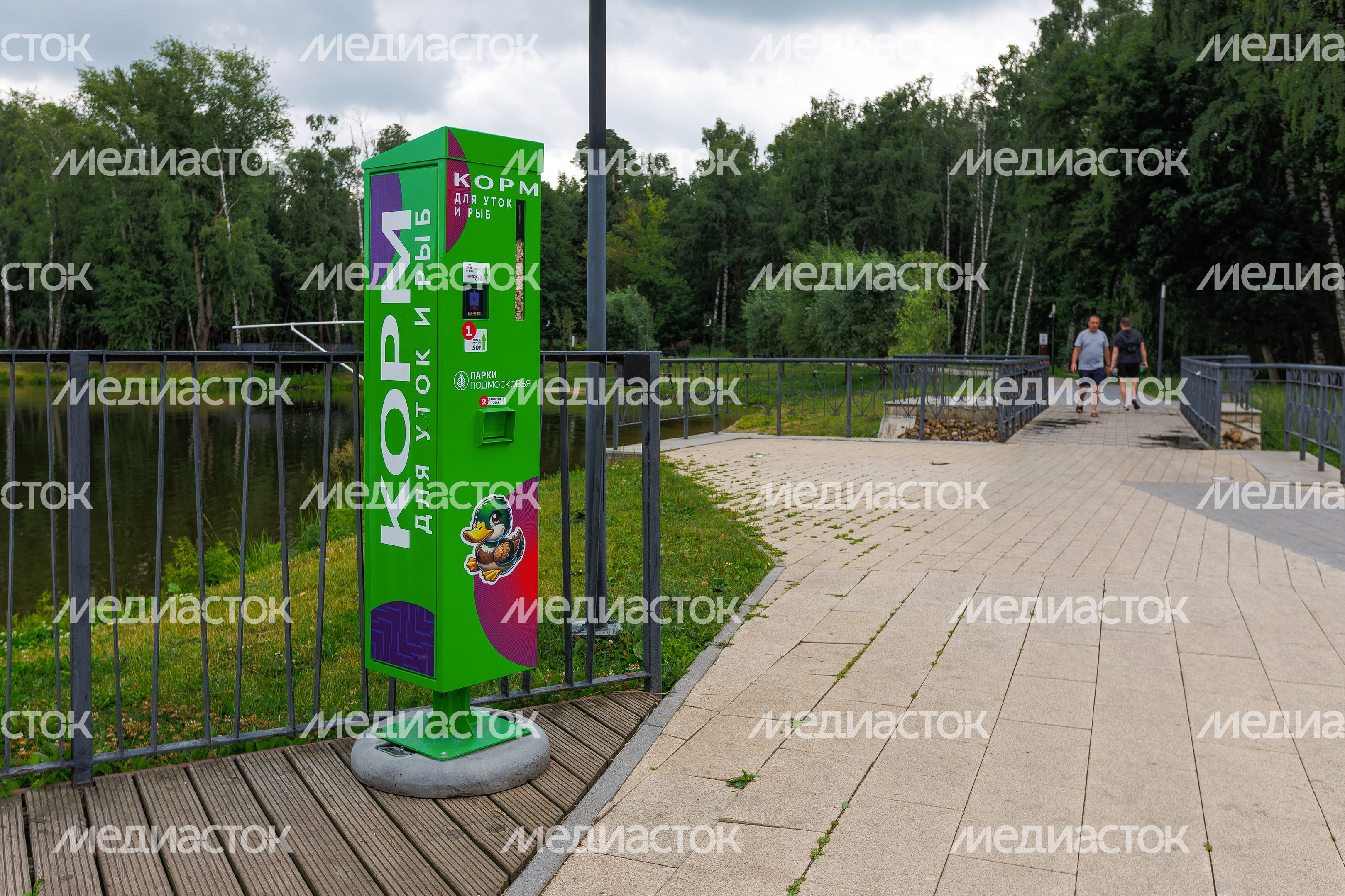 Лето в парке «Малаховское озеро» в Люберцах