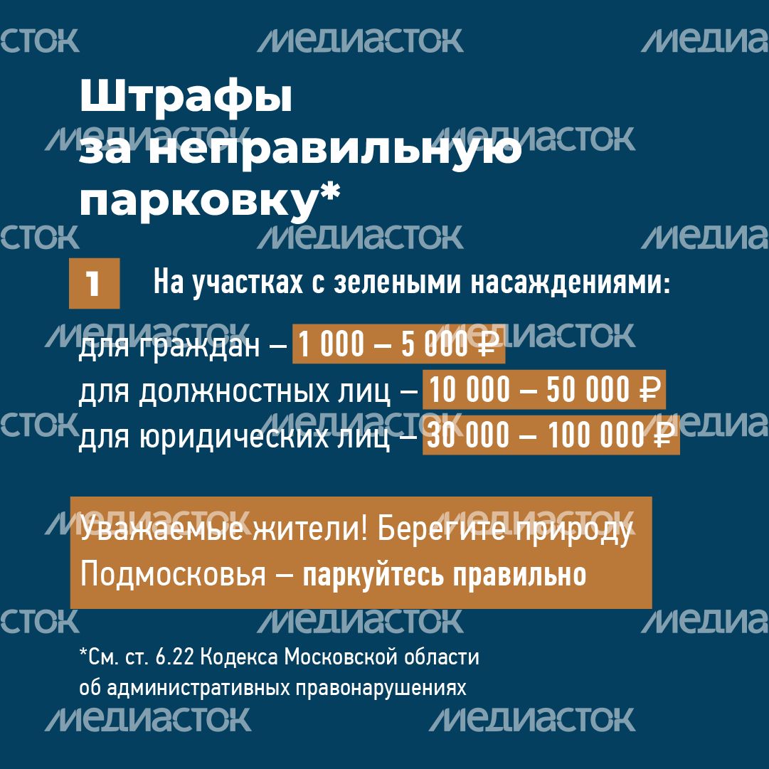 квадраты не паркуйтесь на газоне 06.png