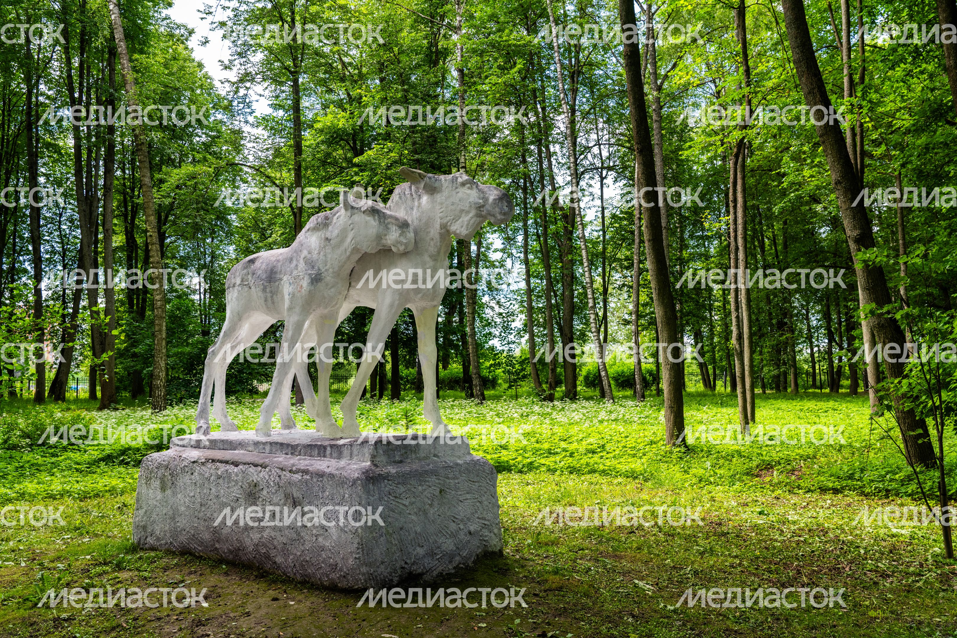 Центральный парк имени В.В. Воровского в Наро-Фоминске летом Центральный парк имени В.В. Воровского в Наро-Фоминске летом