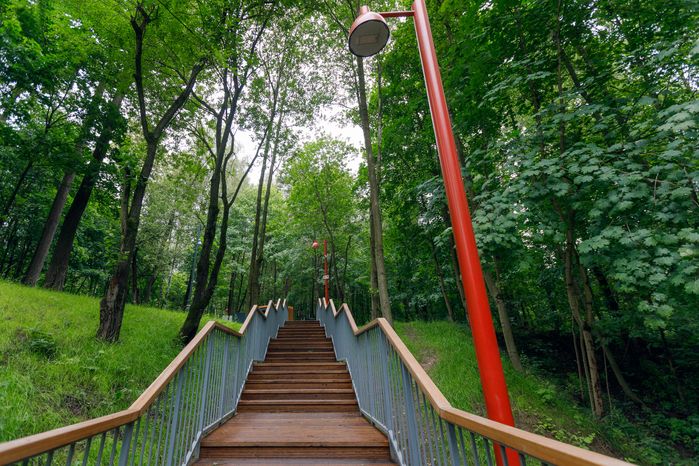 Лестница в Вишняковском лесопарке Балашихи