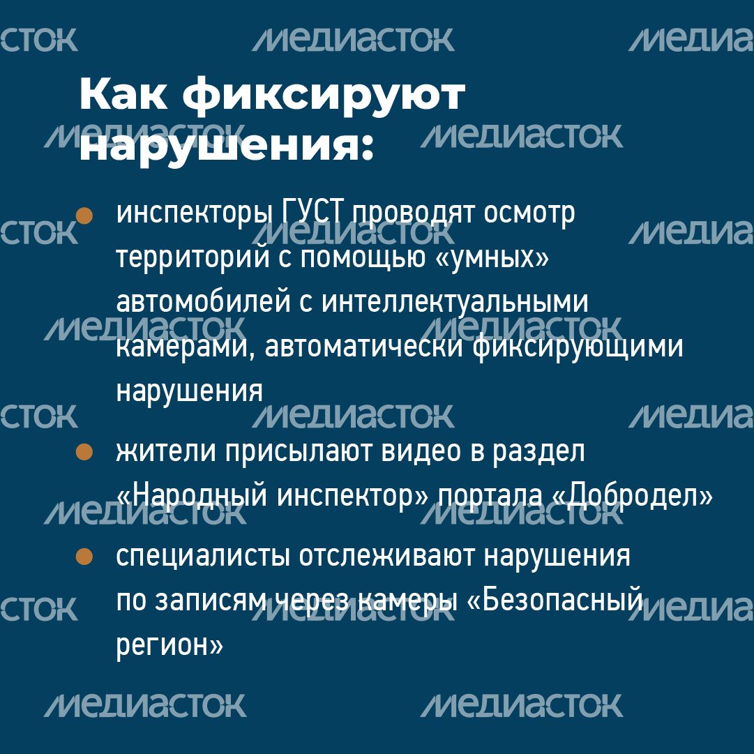 квадраты не паркуйтесь на газоне 05.png