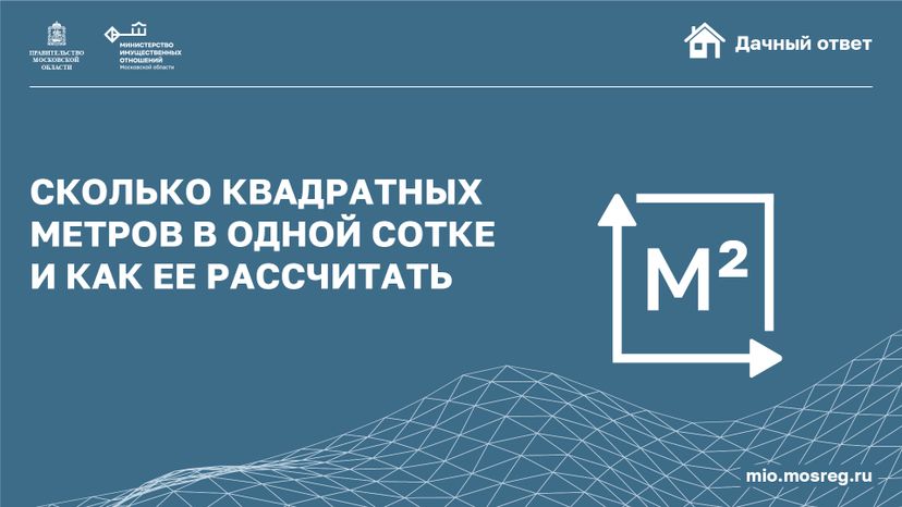 Горизонталь_Сколько квадратных метров в одной сотке_01-100.jpg