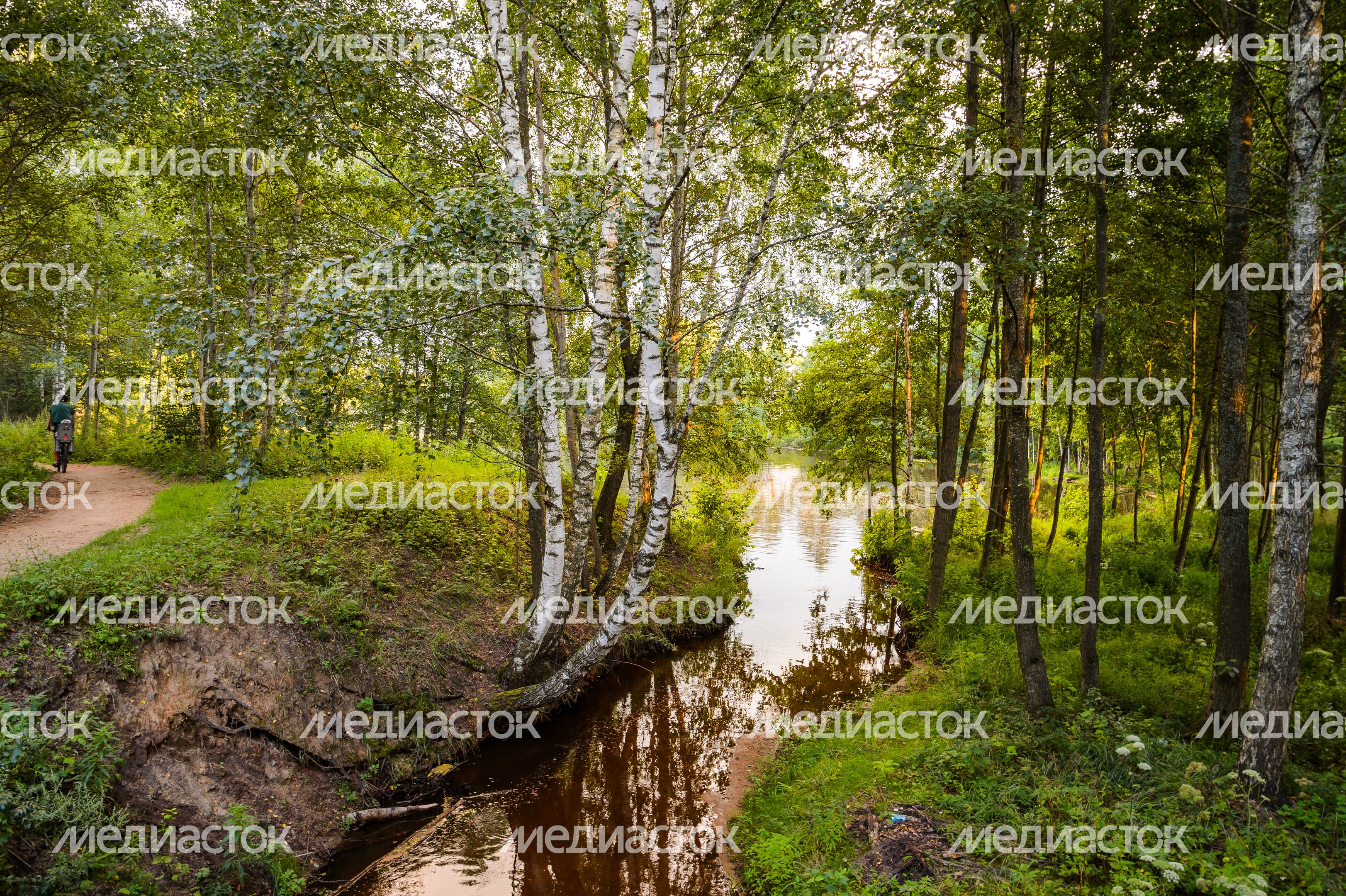 Горокруг Черноголовка. Летние виды реки Черноголовки Горокруг Черноголовка. Летние виды реки Черноголовки