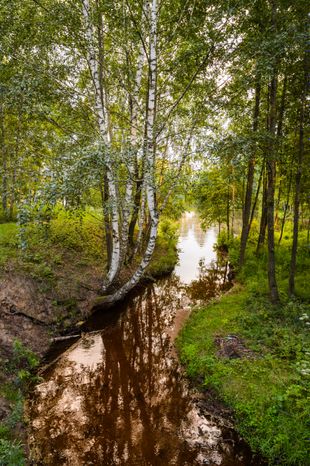 Горокруг Черноголовка. Летние виды реки Черноголовки