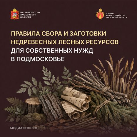 Недревесные ресурсы для собственных нужд Квадрат 01