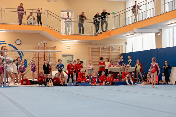 Чемпионат Московской области по спортивной гимнастике в Наро-Фоминске