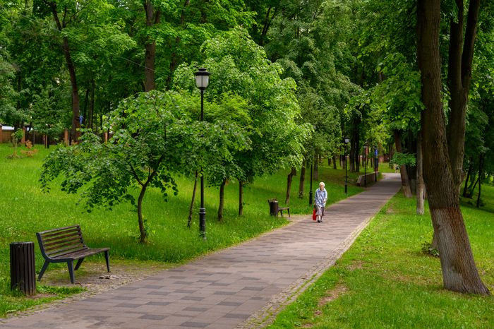 Раменский городской парк культуры и отдыха летом