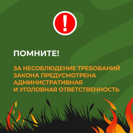 комлесхоз_пал_кв_8.jpg