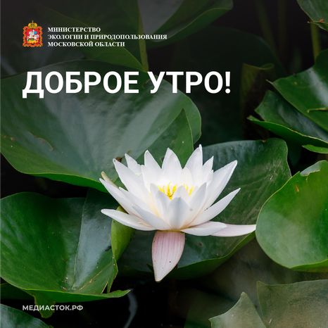 Доброе утро квадрат 02
