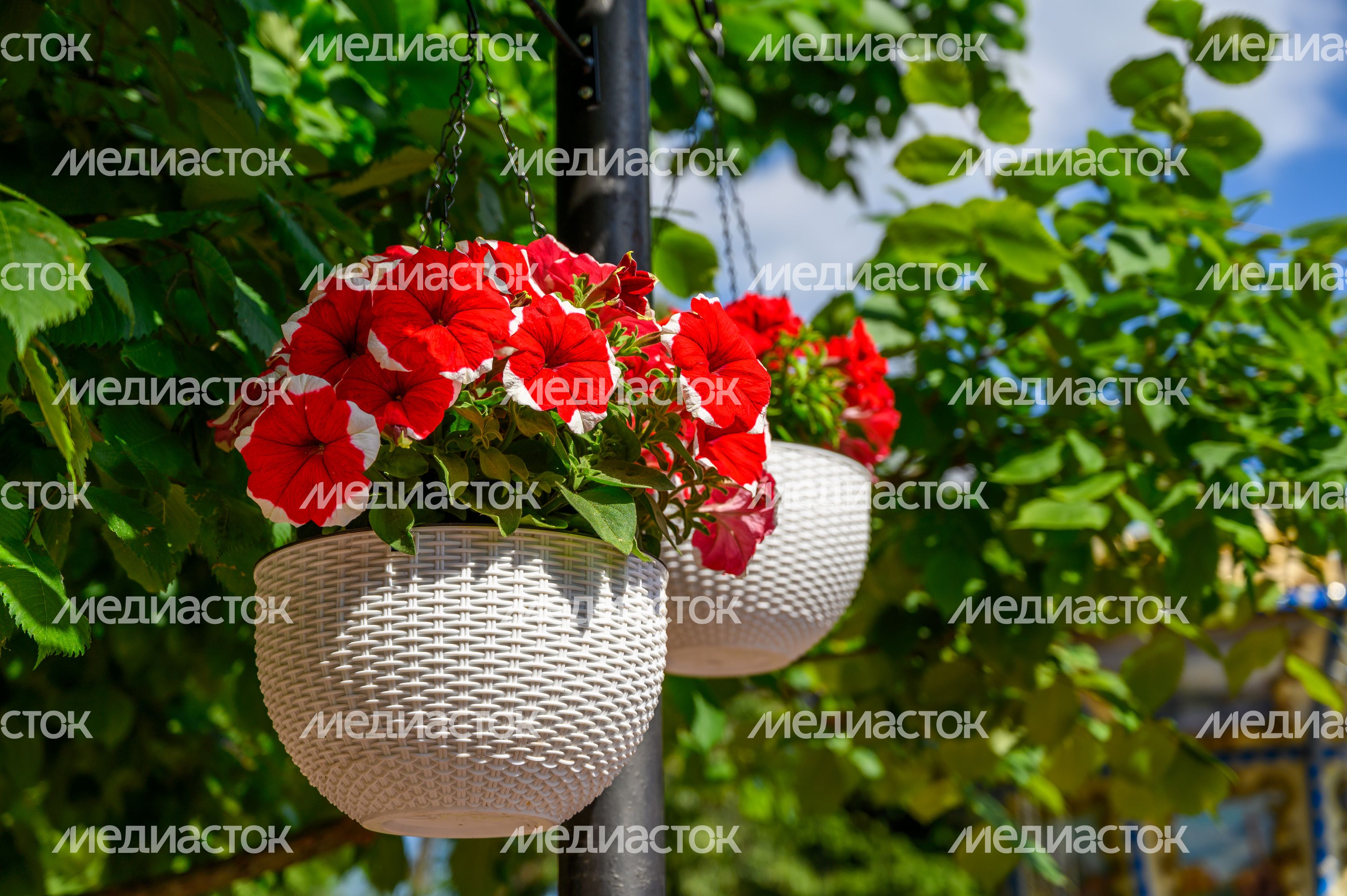 Лето в Наташинском парке Люберец