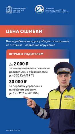 Что такое питбайк вертикаль 08
