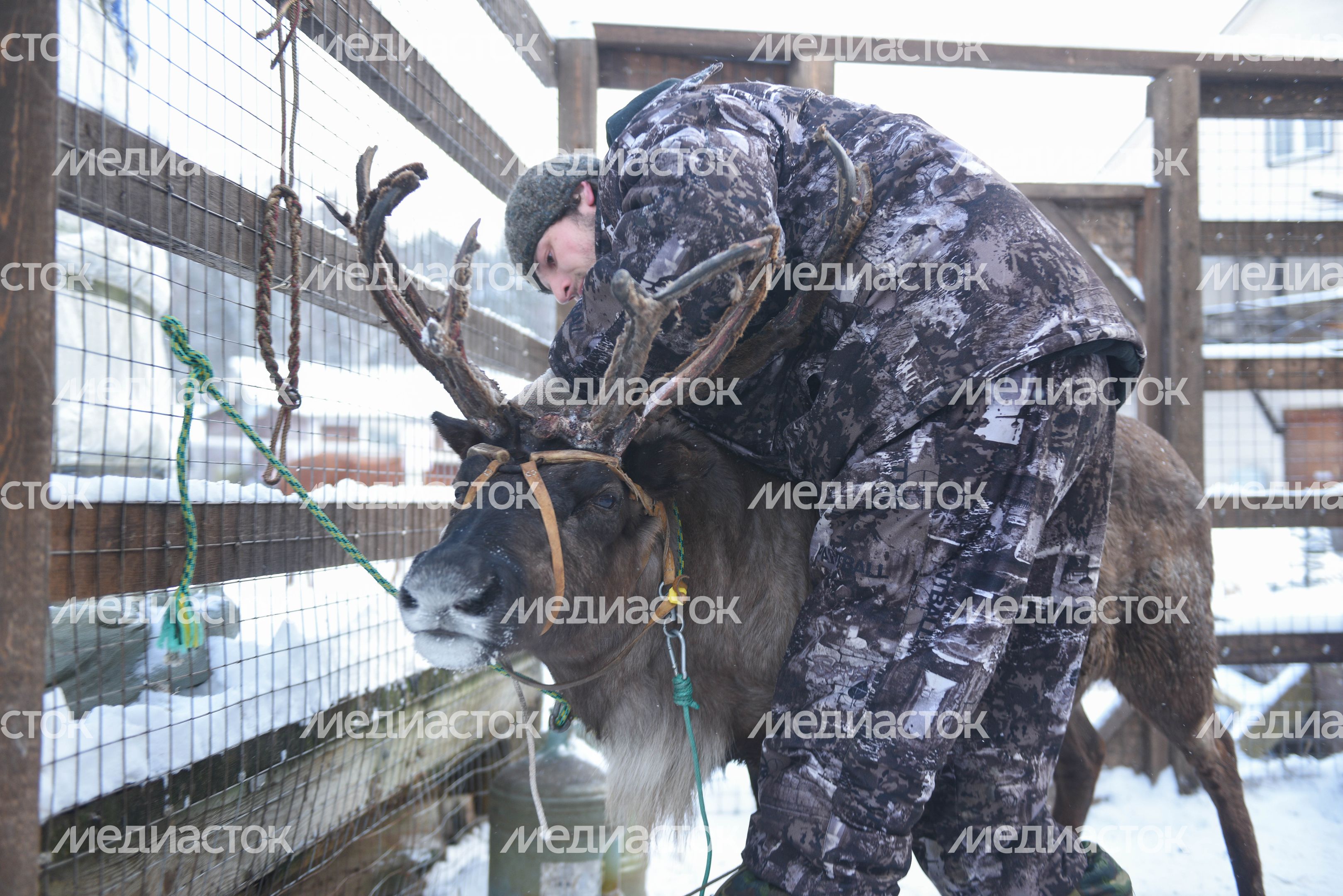 Оленья ферма в Дзержинском
