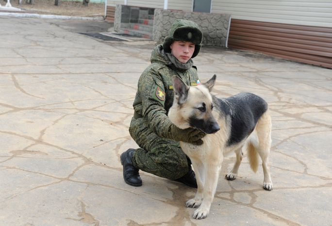 Племенной питомник «Красная Звезда» в Дмитровском районе
