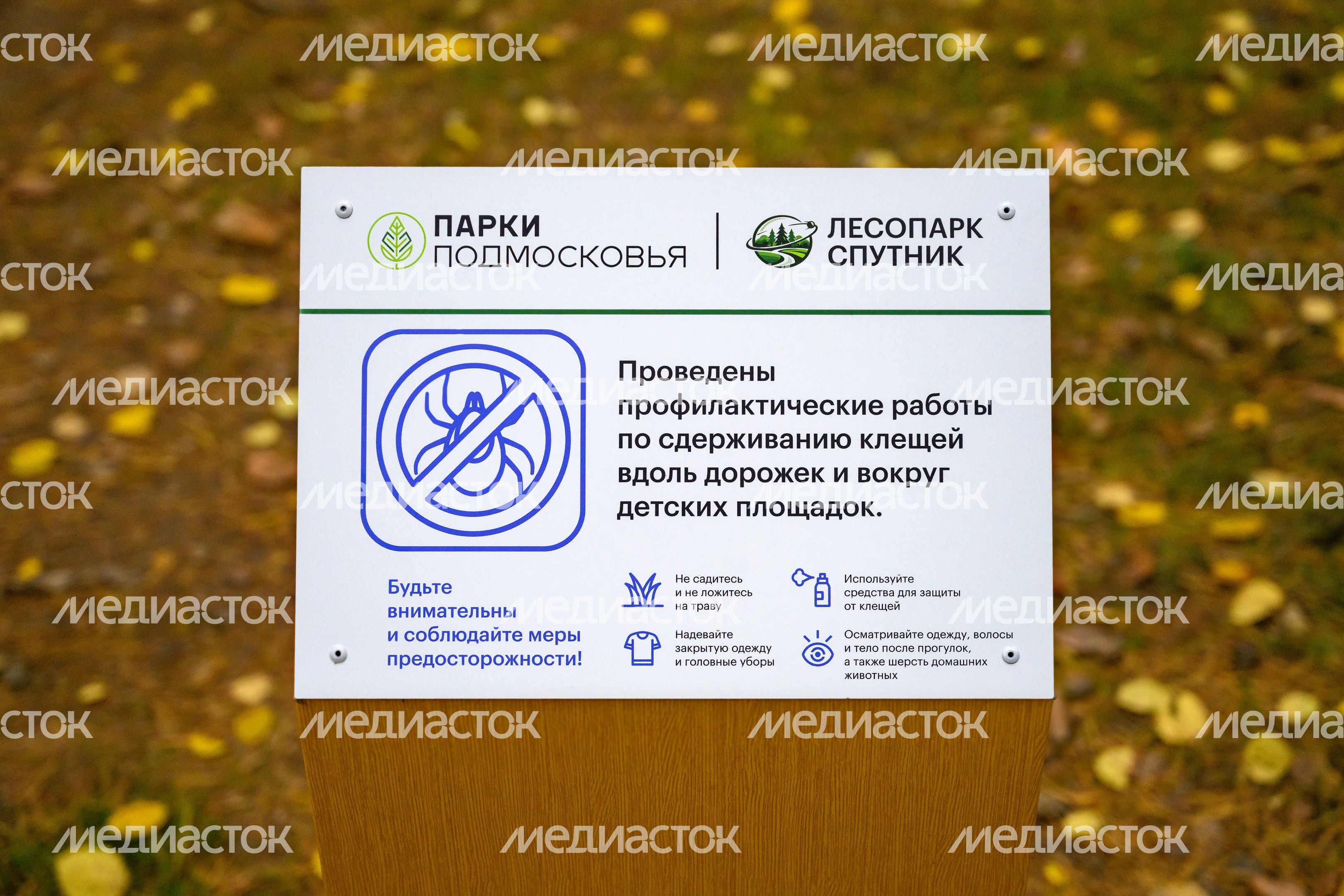 Лесопарк «Спутник» города Щелково осенью