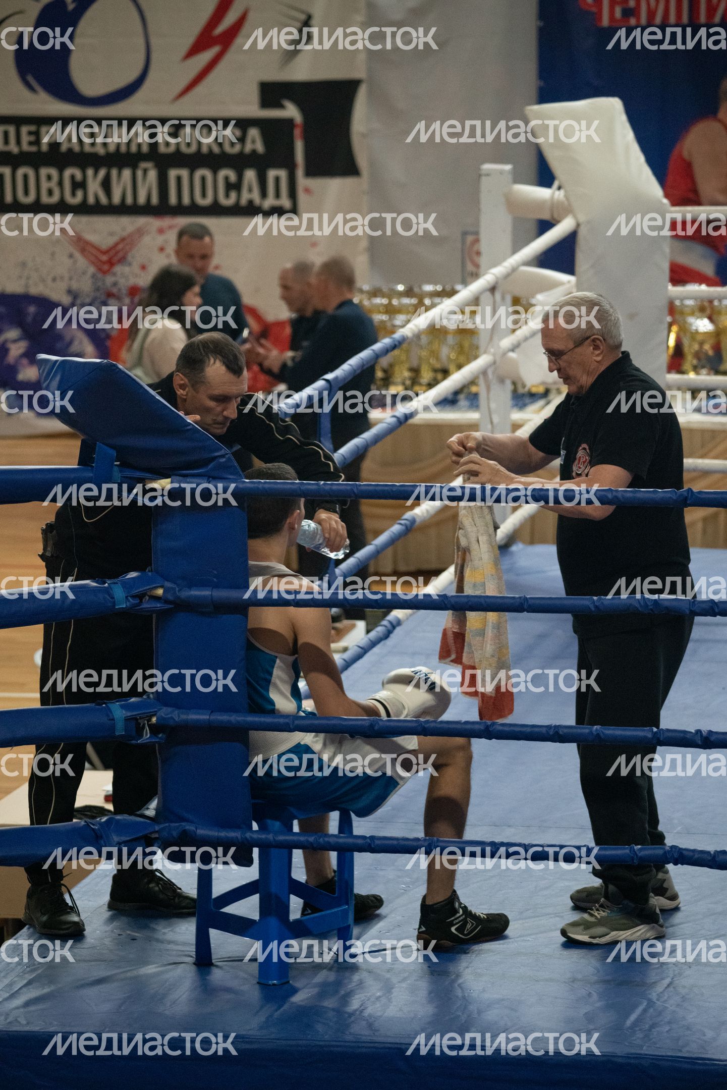 Чемпионат МО по боксу