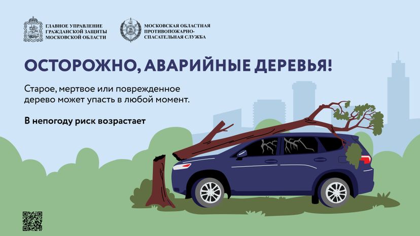Аварийные деревья_Горизонталь-01.jpg