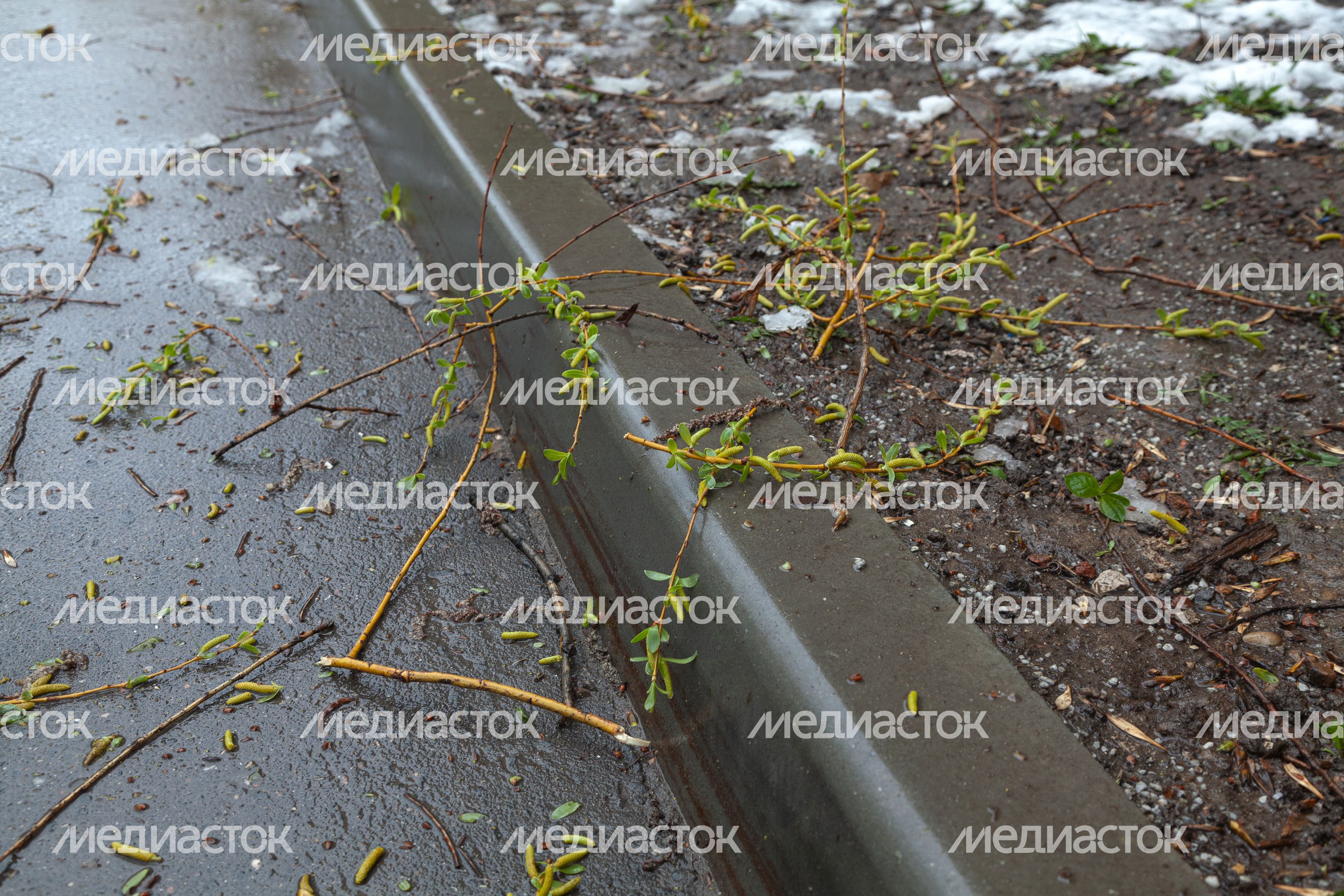 Последствия апрельского снегопада в Подмосковье Последствия апрельского снегопада в Подмосковье