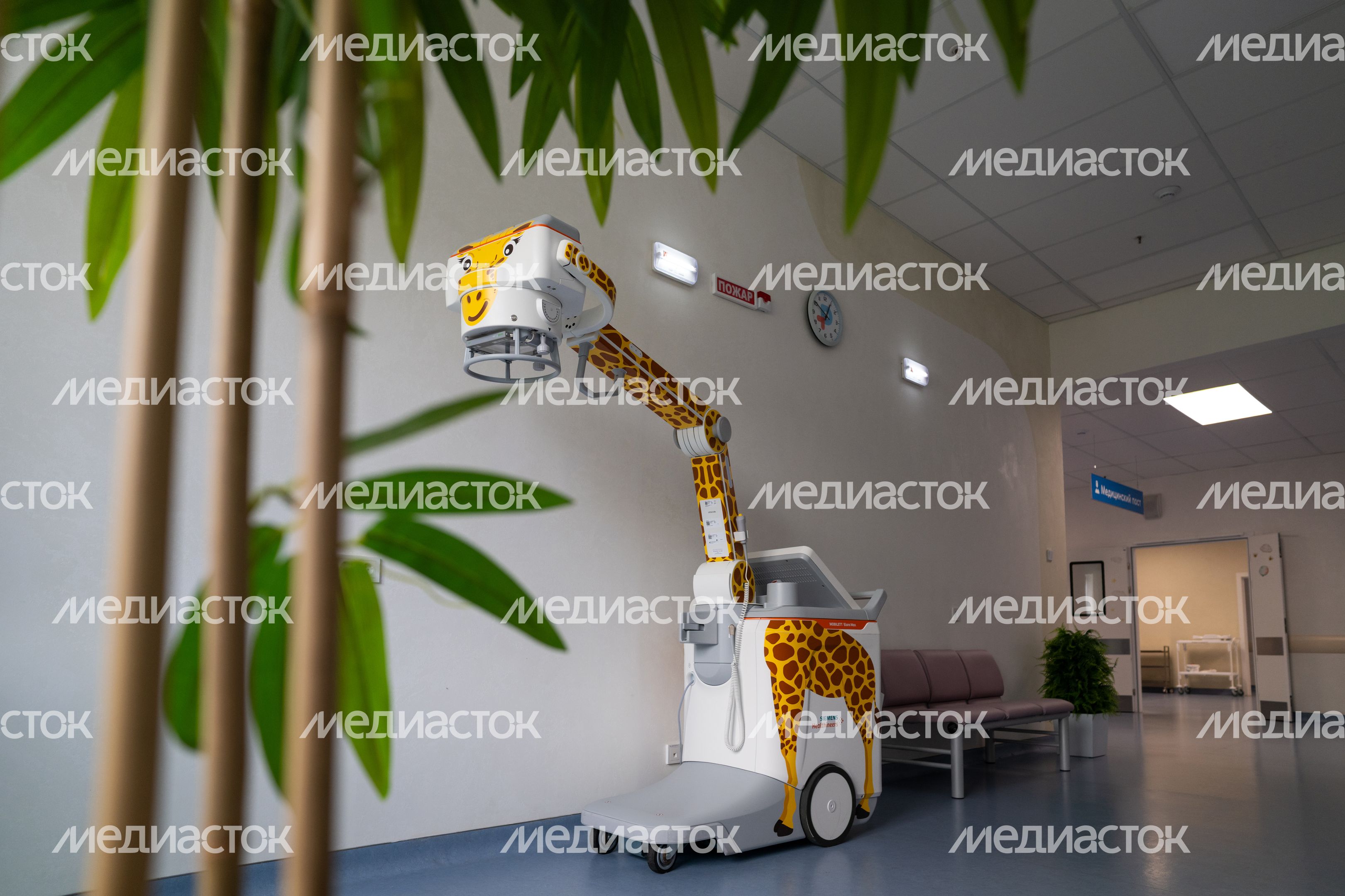 Рентген-аппарат в форме жирафа в Детском клиническом центре им. Л.М. Рошаля в Красногорске Рентген-аппарат в форме жирафа в Детском клиническом центре им. Л.М. Рошаля в Красногорске