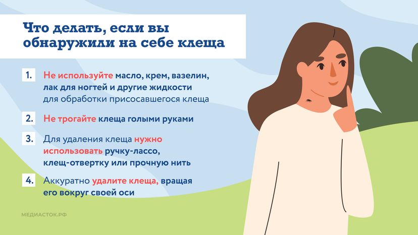 Как защититься от клещей горизонталь 08