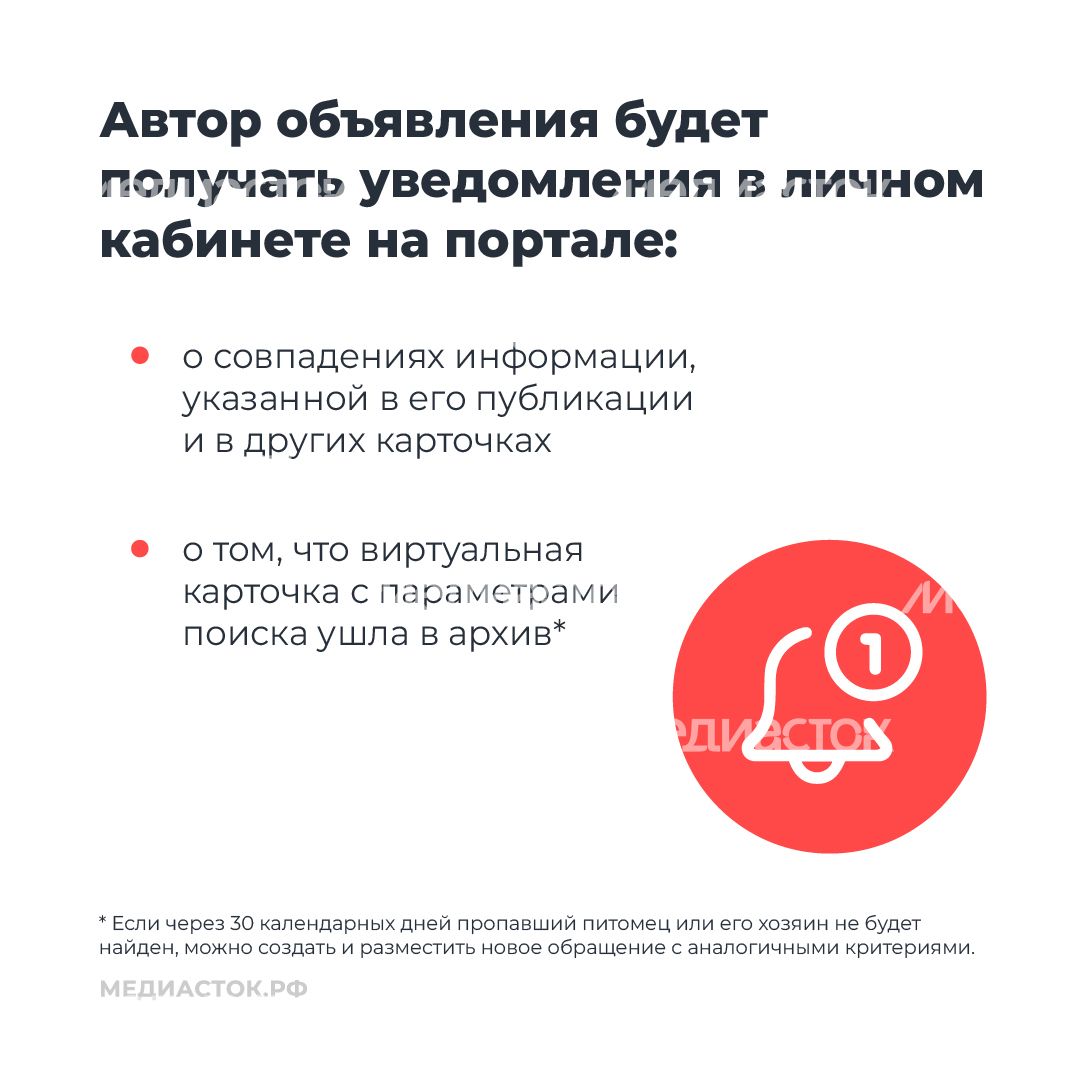 Домашние животные квадрат 09 Домашние животные квадрат 09