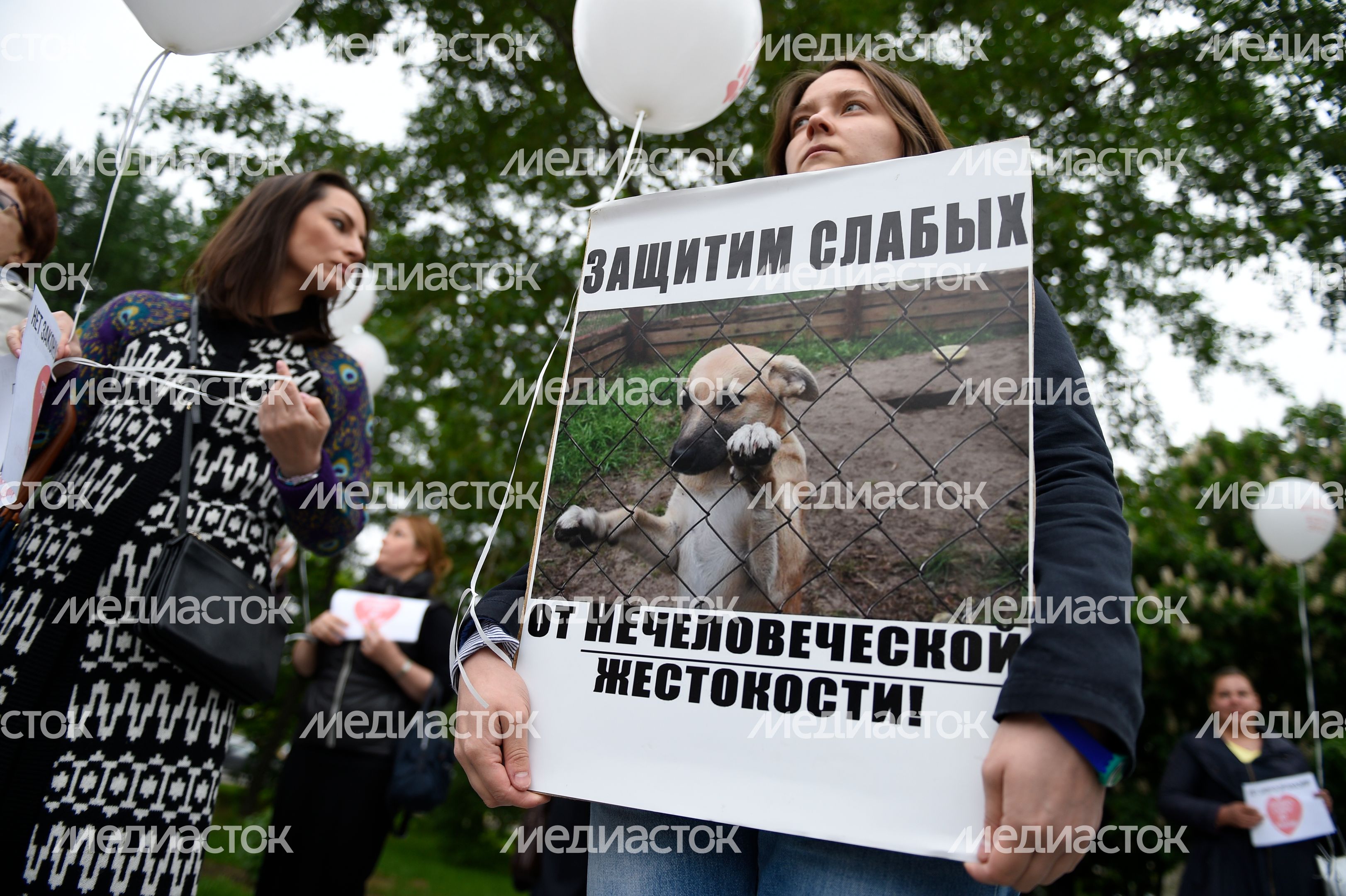 Митинг в защиту животных из приютов в Москве