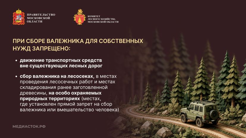 Валежник для собственных нужд горизонталь 07