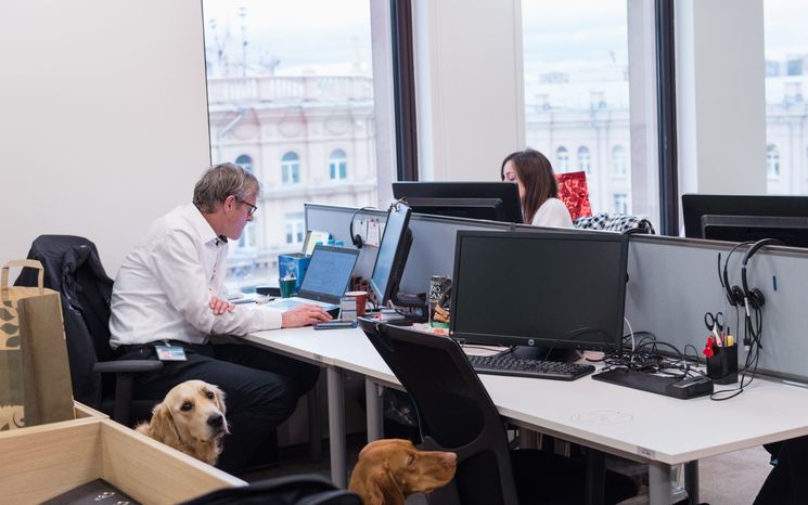 Pet‑friendly офис Purina