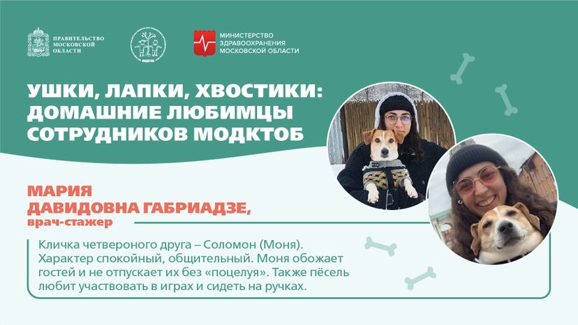 Ушки, лапки, хвостики горизонталь 08