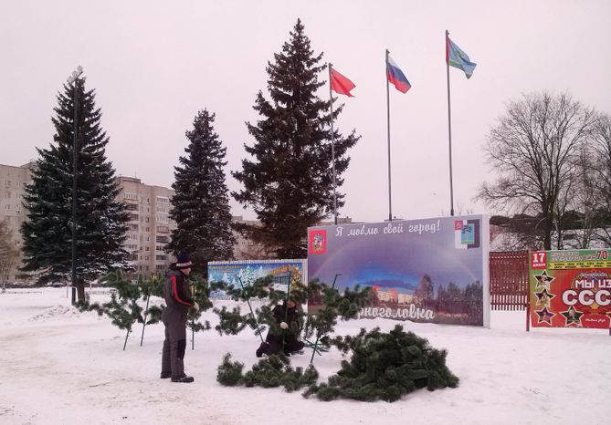 Новогодние декорации в Черноголовке