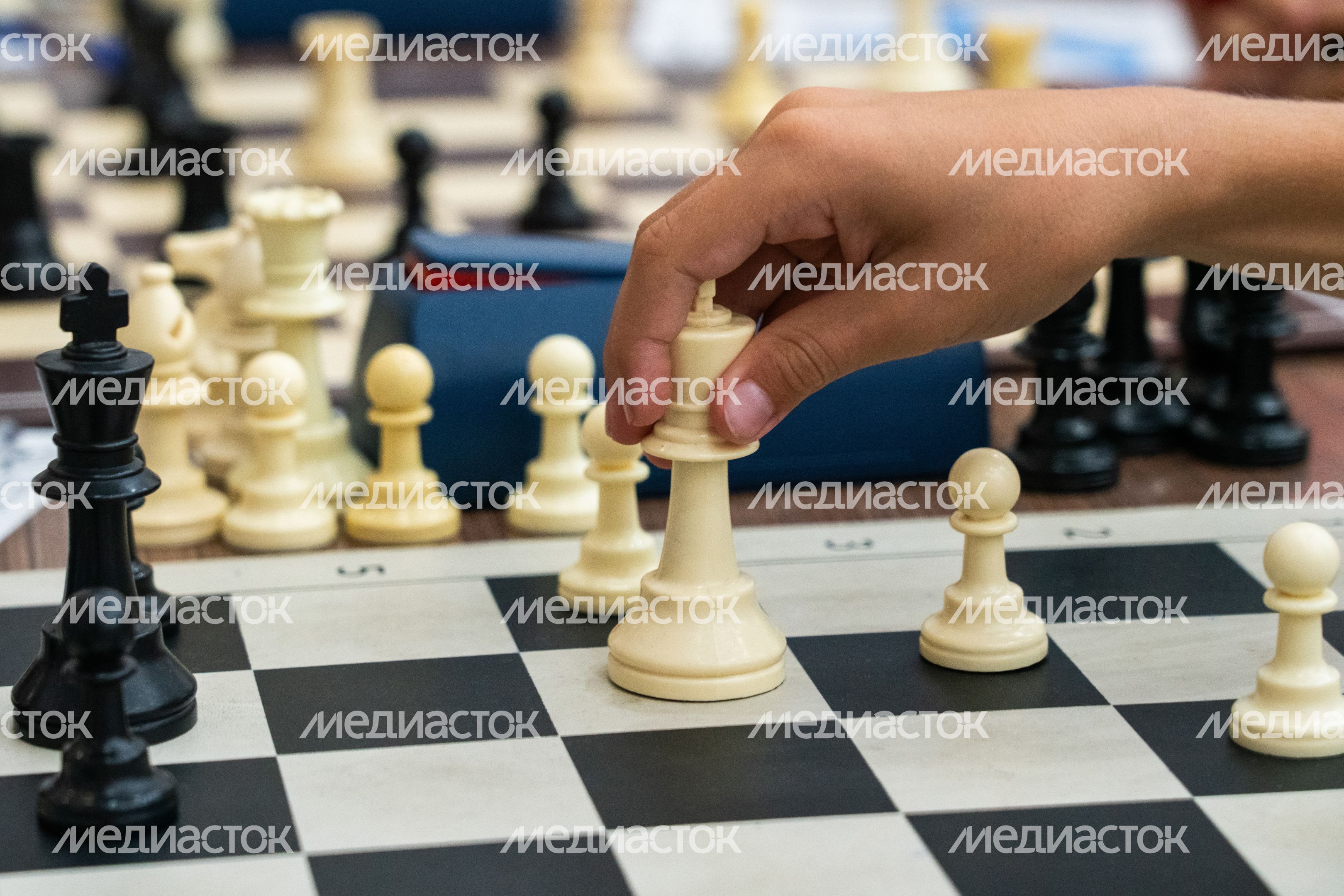 Первенство Московской области по шахматам в Одинцовском округе Первенство Московской области по шахматам в Одинцовском округе