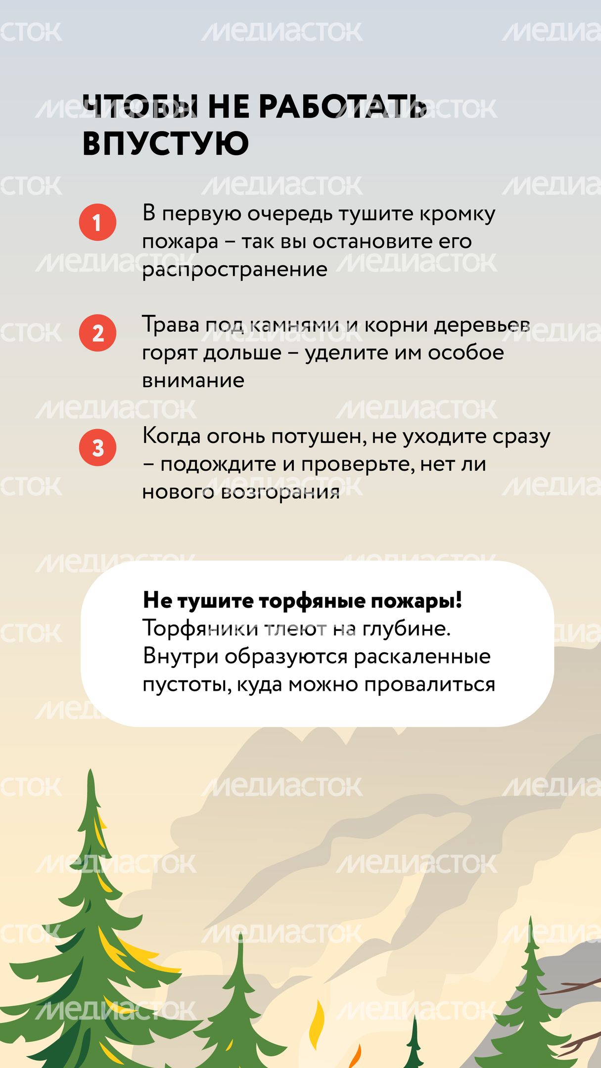 Лесные пожары-04.jpg