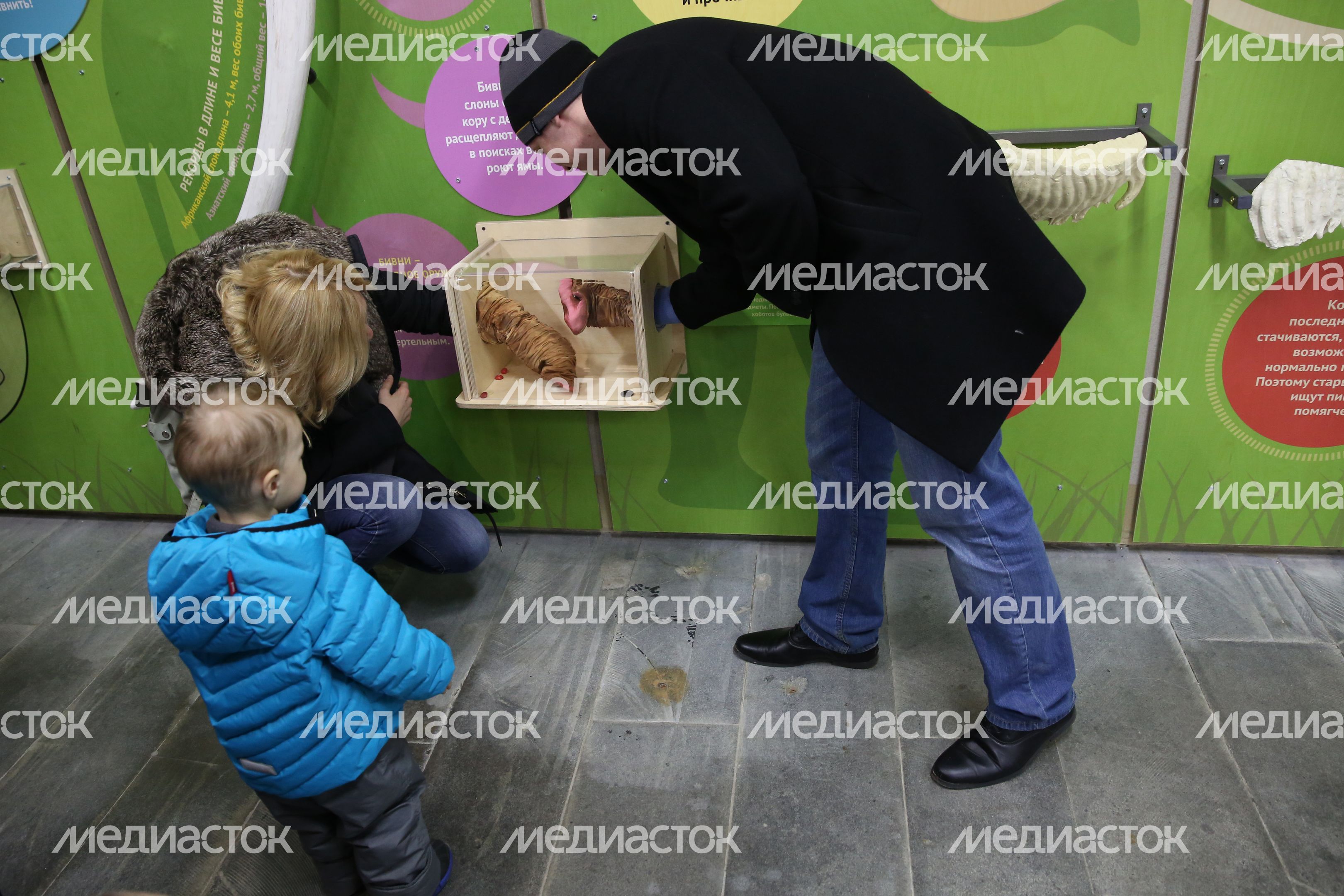 Музей слонов в Московском зоопарке