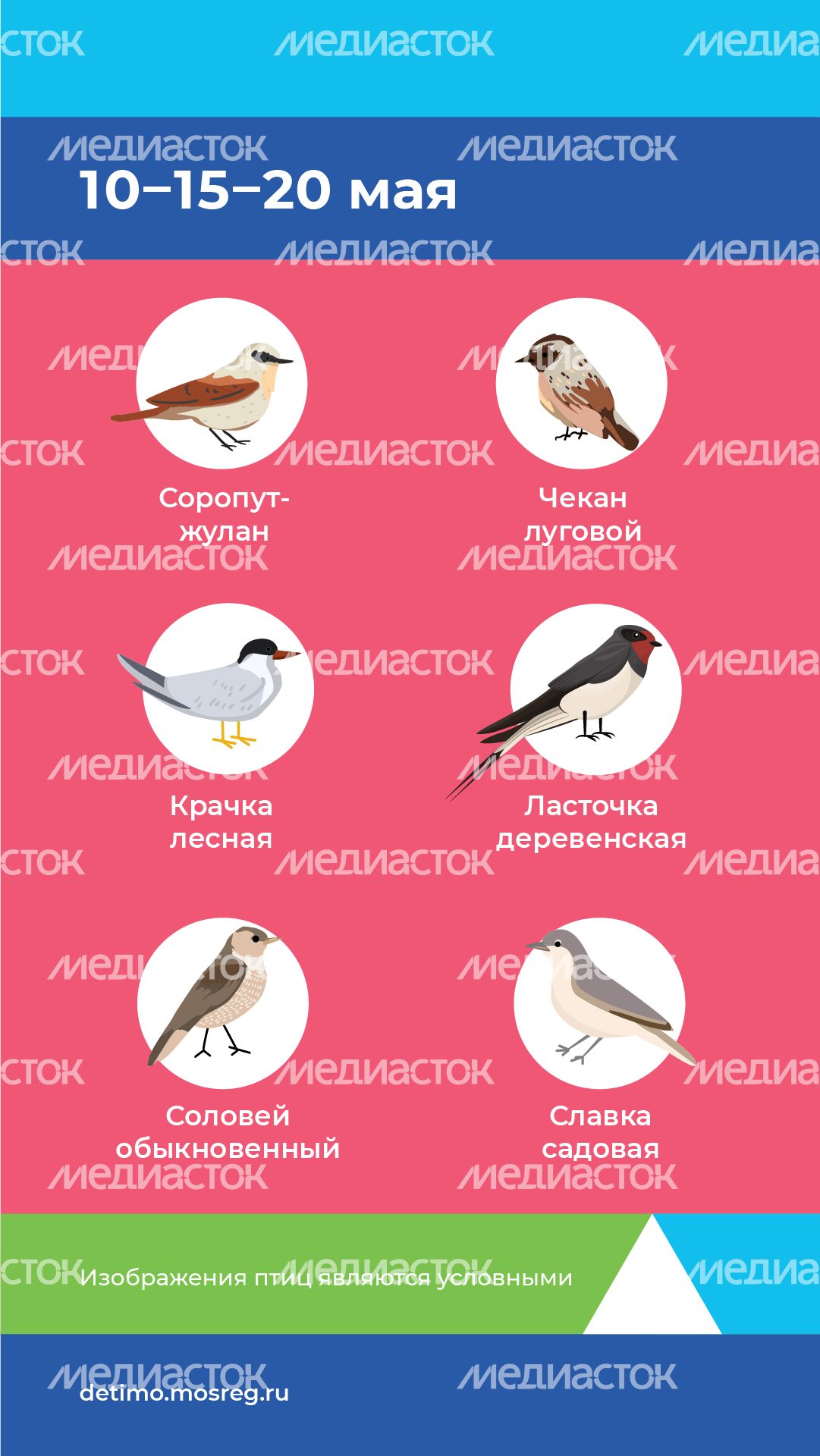 весна летит - вертикаль - 09