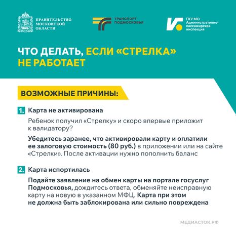 Поездки школьников в автобусах квадрат 02