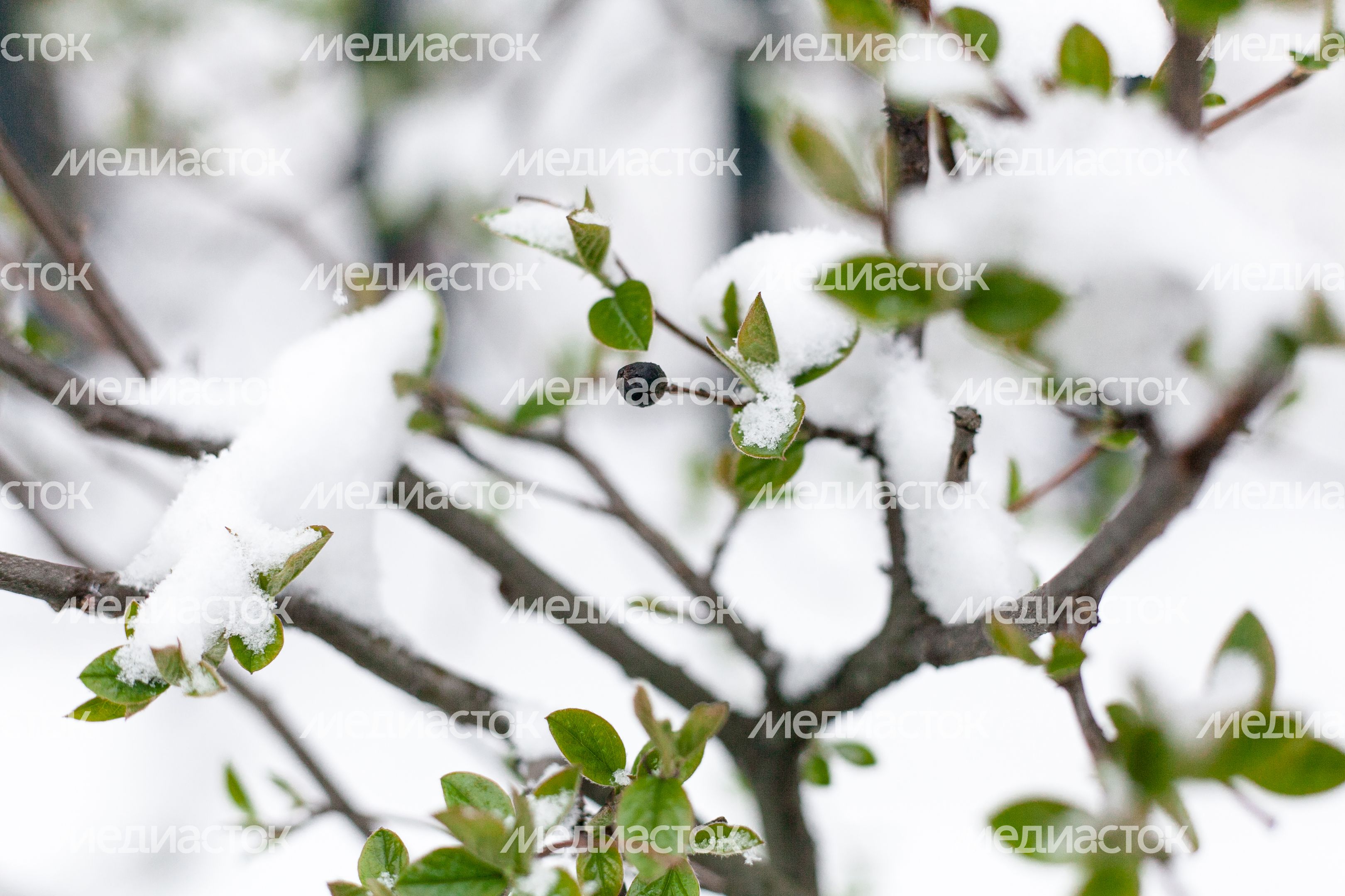 Весна в городе Дзержинский Весна в городе Дзержинский