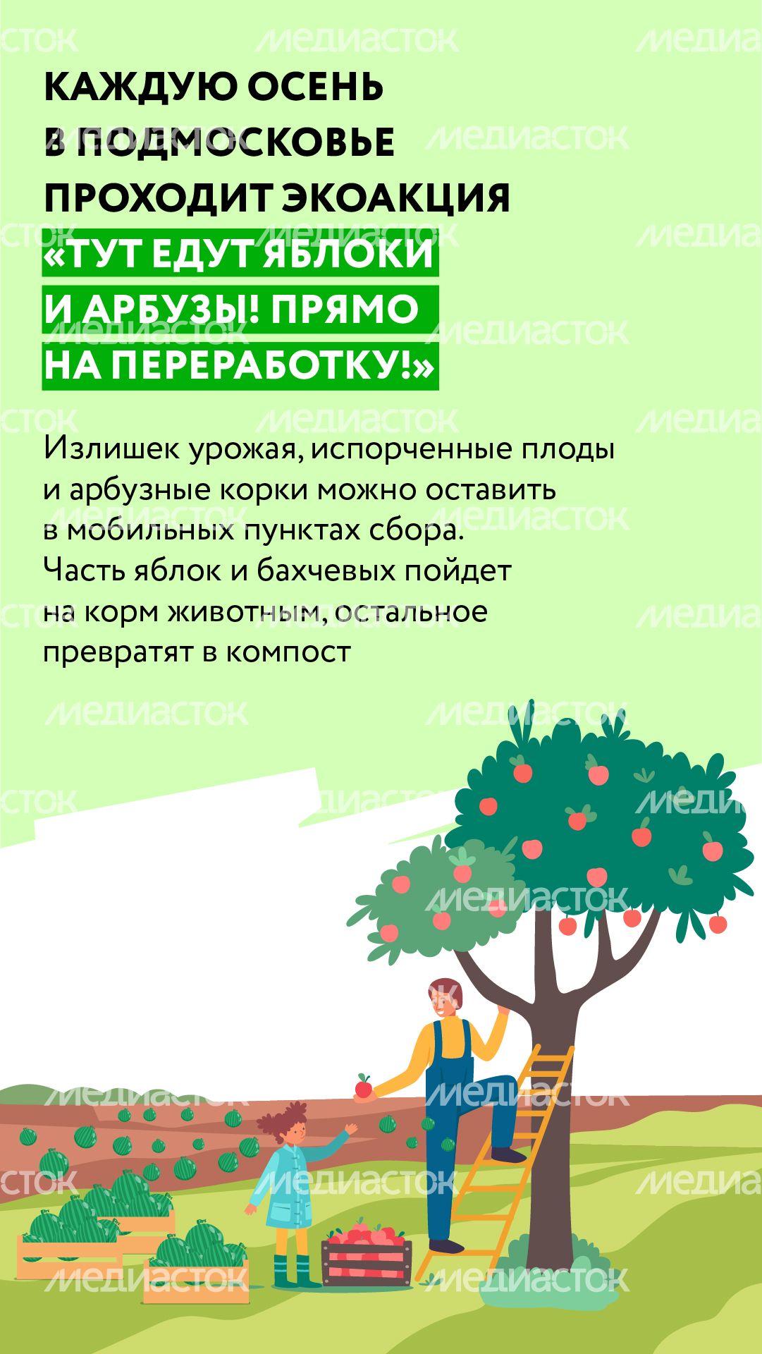 Вертикаль_арбузы_02-100.jpg