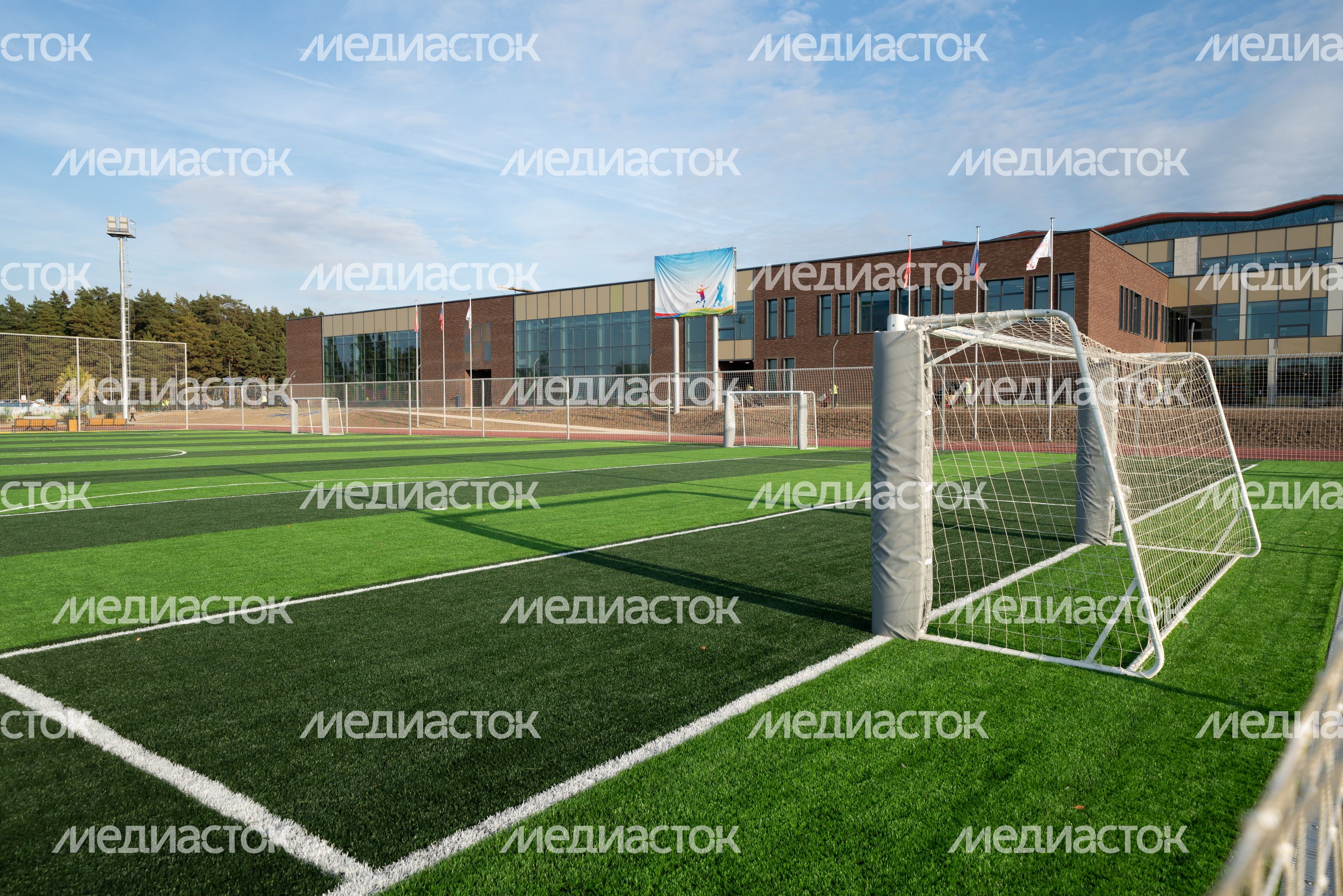 Истра. Областной технолицей им. В.И. Долгих