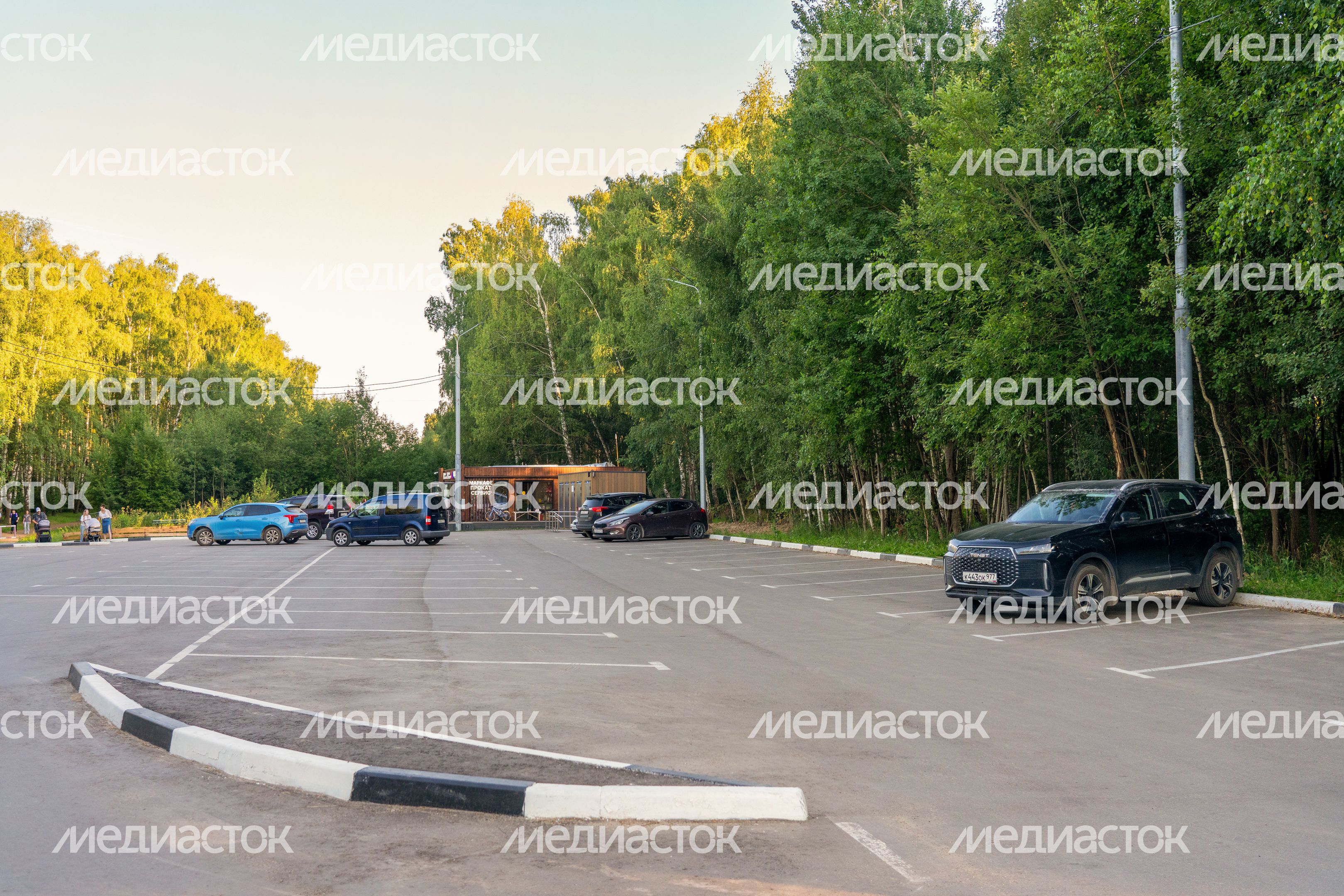 Парковка на улице Надежды у лесопарка «Городской лес» в Домодедово