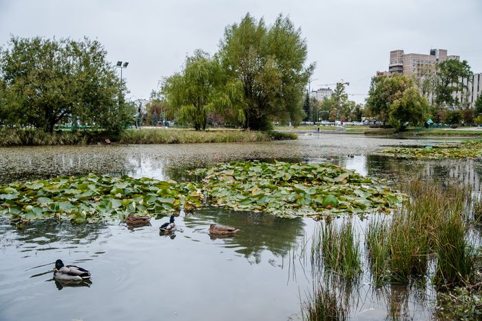 Виды города Одинцово
