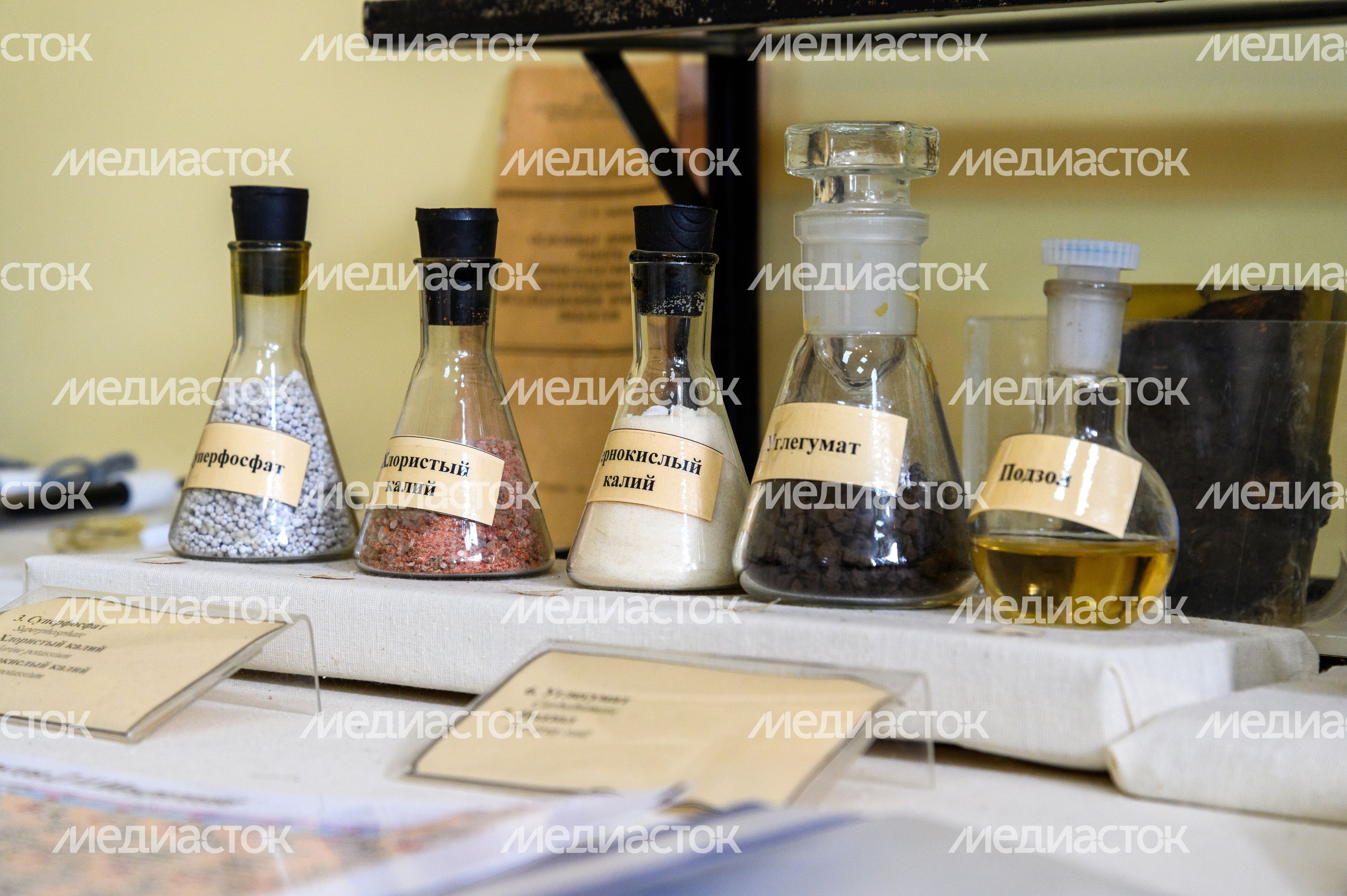 Пущинский музей экологии и краеведения
